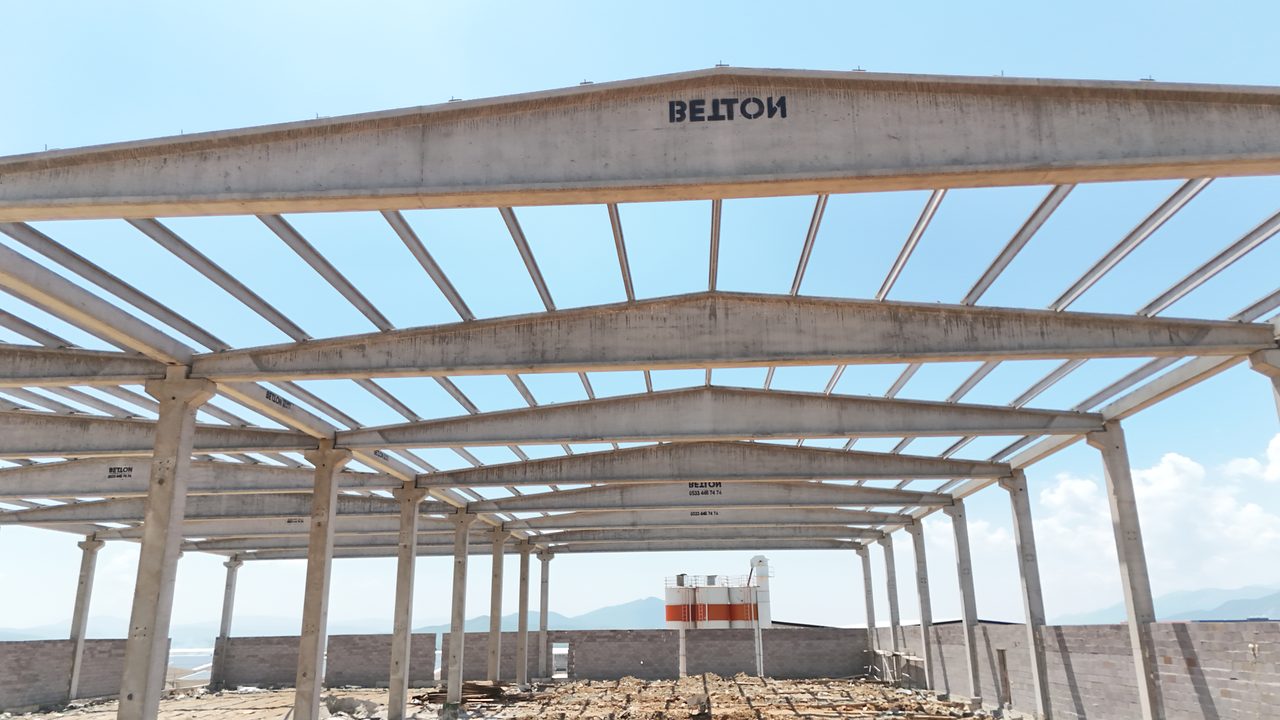 Row of roof girders seen from inside the building, resting on columns with purlins between them.